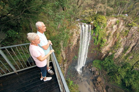 Queen Mary Falls Circuit, Main Range National Park - Accommodation Coffs Harbour 1