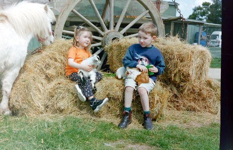 Rain Hayne And Shine Farmyard - Accommodation Coffs Harbour 0