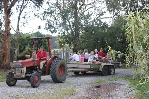 Rain Hayne And Shine Farmyard - Accommodation Coffs Harbour 1