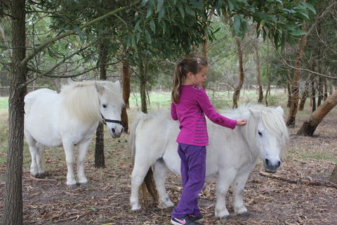 Rain Hayne And Shine Farmyard - Accommodation Coffs Harbour 2
