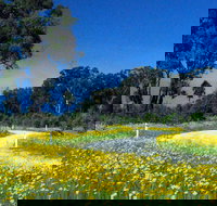 Shearer's Way - Accommodation Coffs Harbour