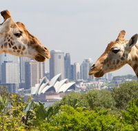 Taronga Zoo Combo Pass - Accommodation Coffs Harbour