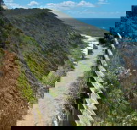 The Coast Walking Track - Accommodation Coffs Harbour