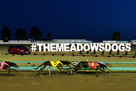 The Meadows - Accommodation Coffs Harbour 0