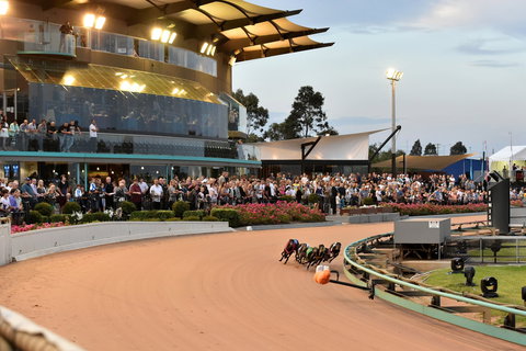 The Meadows - Accommodation Coffs Harbour 1