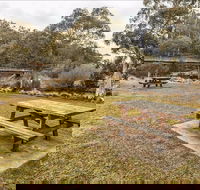 Thredbo River picnic area - Accommodation Coffs Harbour