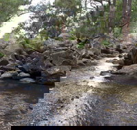 Threlfall Walking Track - Accommodation Coffs Harbour