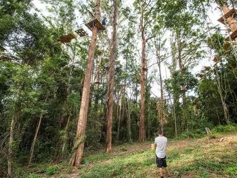 TreeTop Challenge - Sunshine Coast - Accommodation Coffs Harbour 1