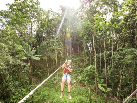 TreeTop Challenge - Sunshine Coast - Accommodation Coffs Harbour 2