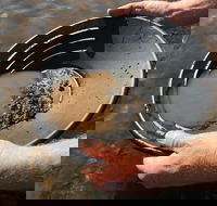 Tuena Panning for Gold - Accommodation Coffs Harbour
