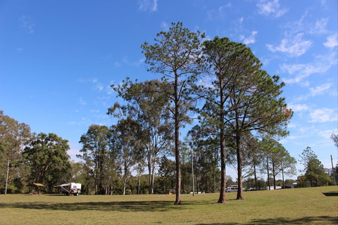 Tully Memorial Park - Accommodation Coffs Harbour 2