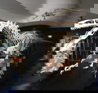 UNE Natural History Museum - Accommodation Coffs Harbour