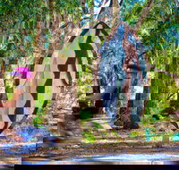 Wagirra Trail and Yindyamarra Sculpture Walk - Accommodation Coffs Harbour