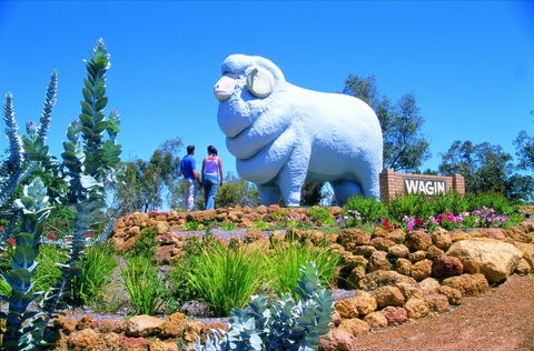 Wagin - Accommodation Coffs Harbour 0