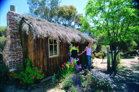 Wagin - Accommodation Coffs Harbour 1