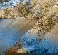Wandandian Creek picnic area - Accommodation Coffs Harbour