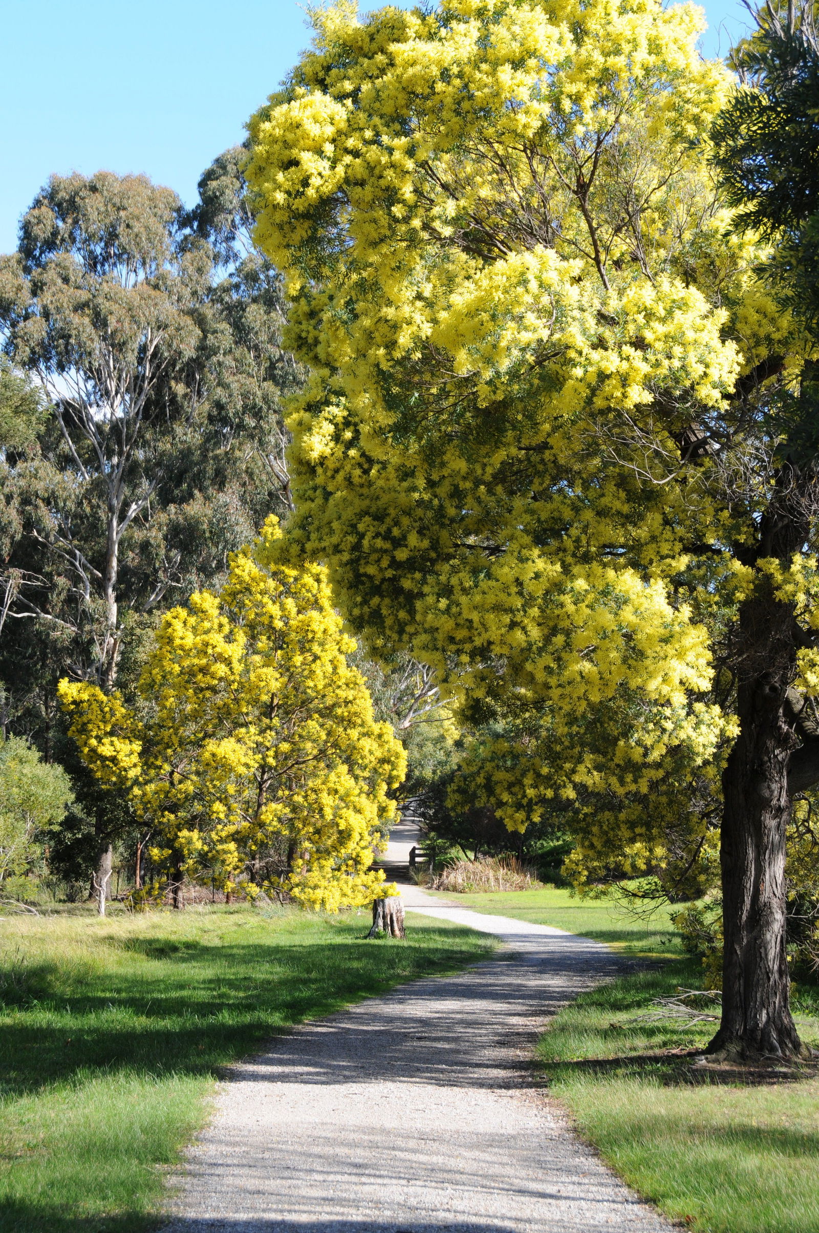 Kilsyth VIC Accommodation Coffs Harbour