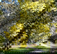 Wattle Park - Accommodation Coffs Harbour