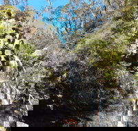 Waterfall Walk Kanangra-Boyd National Park - Accommodation Coffs Harbour