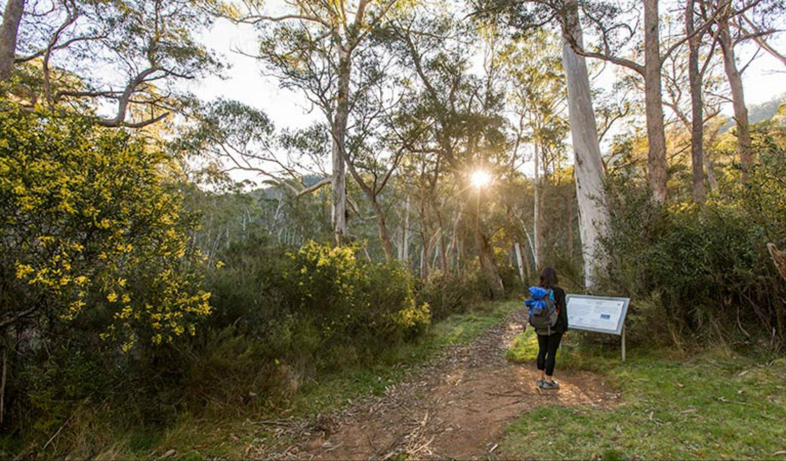  Accommodation Coffs Harbour