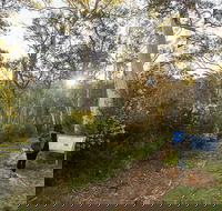 Yarrangobilly Caves  River walk - Accommodation Coffs Harbour