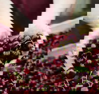 Yarra Valley Cherries - Accommodation Coffs Harbour