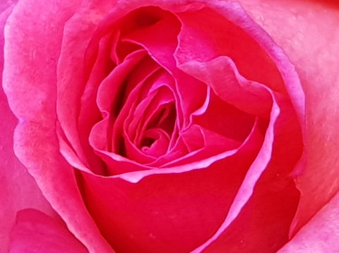 Abandon Stress Mobile Massage - Accommodation Coffs Harbour 0