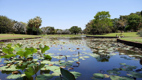 Anderson Park Botanic Gardens - Accommodation Coffs Harbour 0