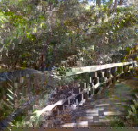 Awaba Bay Foreshore Walk - Accommodation Coffs Harbour