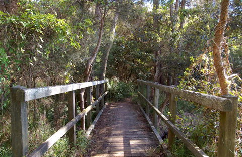 Awaba Bay Foreshore Walk - Accommodation Coffs Harbour 0