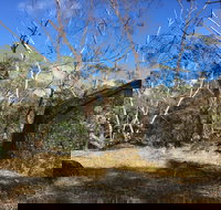 Bailey's Rocks - Dergholm State Park - Accommodation Coffs Harbour