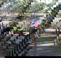 Bidgee Riverside Trail  - Hay Nature Walk - Accommodation Coffs Harbour