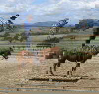 Boggy Creek Show - Accommodation Coffs Harbour