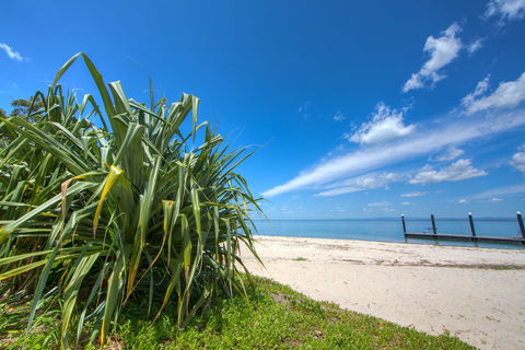 Bongaree Walkabout - Accommodation Coffs Harbour 0