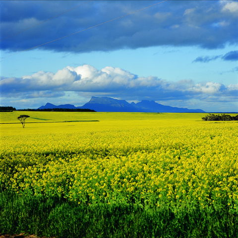 Borden - Accommodation Coffs Harbour 0