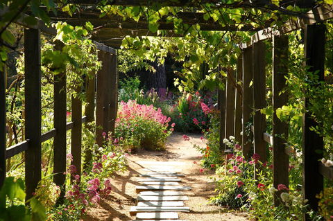 Buda Historic Home & Garden - Accommodation Coffs Harbour 2