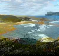 Bullimah Spur Track - Accommodation Coffs Harbour