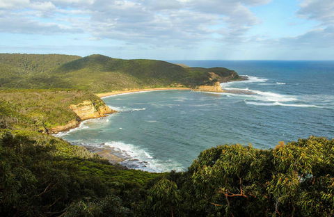 Bullimah Spur Track - Accommodation Coffs Harbour 0