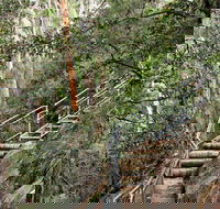 Caleys Lookout Track - Accommodation Coffs Harbour