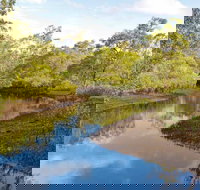Canoe Evans River Paddle Route - Accommodation Coffs Harbour