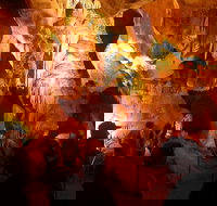 Careys Cave - Accommodation Coffs Harbour