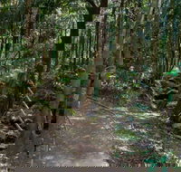 Cascades Walk - Accommodation Coffs Harbour