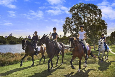 Centennial Parklands - Accommodation Coffs Harbour 1