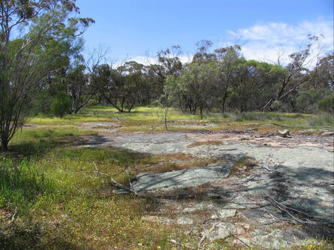 Christmas Rock Walk - Accommodation Coffs Harbour 0