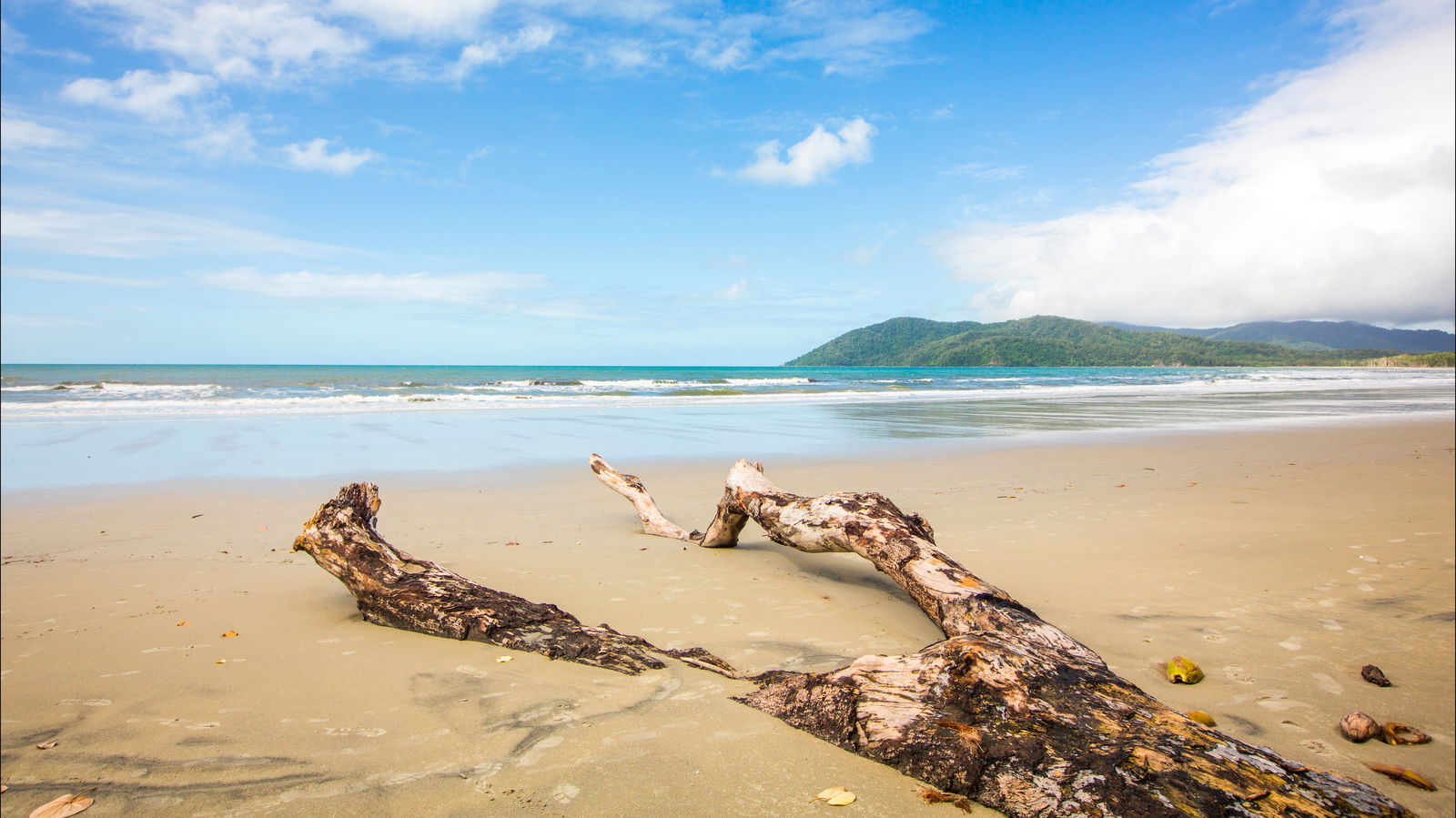 Cow Bay QLD Accommodation Coffs Harbour