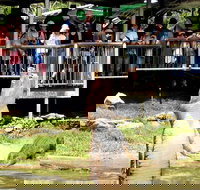 Crocodylus Park and Zoo - Accommodation Coffs Harbour