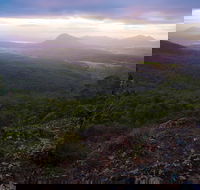 Cunninghams Gap and Spicers Gap Main Range National Park - Accommodation Coffs Harbour