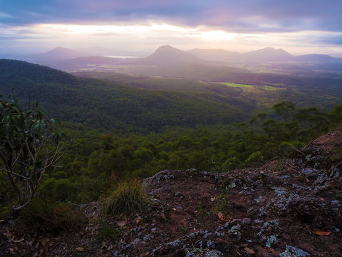 Cunninghams Gap And Spicers Gap, Main Range National Park - Accommodation Coffs Harbour 0