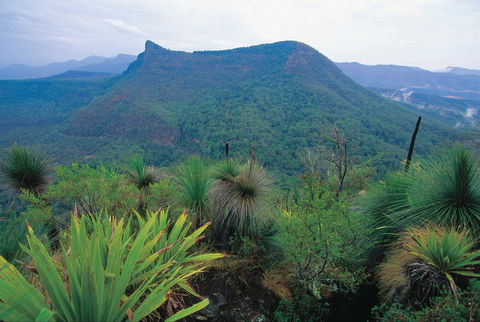 Cunninghams Gap And Spicers Gap, Main Range National Park - Accommodation Coffs Harbour 1