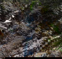 Dasher Falls - Accommodation Coffs Harbour